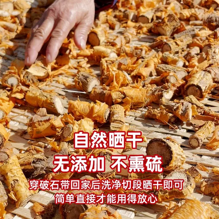 深山野生穿破石根