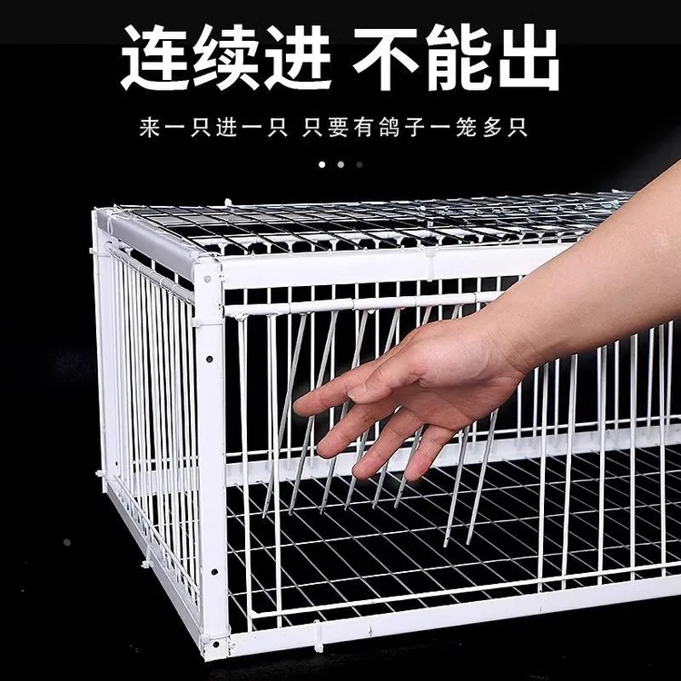 新疆西藏包邮天落笼鸽子笼鸽子活络门只进不出撞门鸽笼铁笼跳笼自