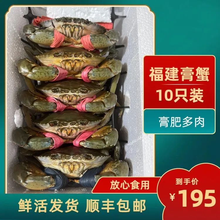 【厦门活发】特大青蟹红树林鲜活膏蟹 红鲟南沙青蟹 东山岛红鲟