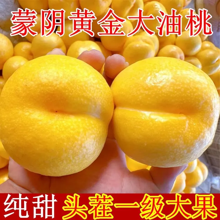 山东蒙阴油桃新鲜应季水果甜嫩多汁现摘现发