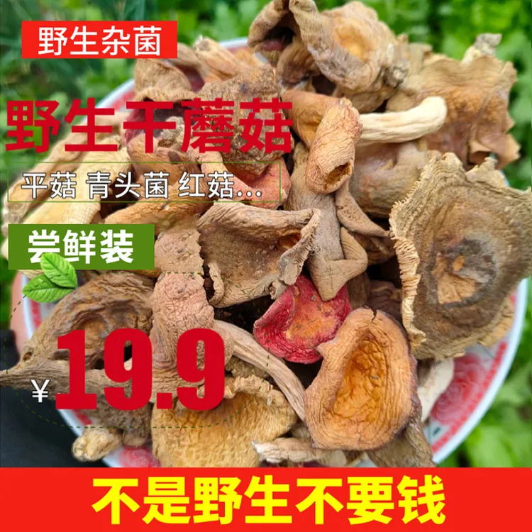 新湖南特产精选正宗野生菌干货野生杂菇杂蘑菇杂菌干菌子218g包邮