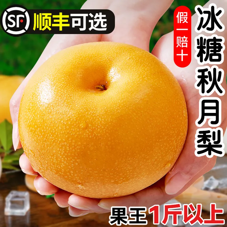 【保真】正宗山东莱阳秋月梨当季新鲜水果现摘冰糖梨