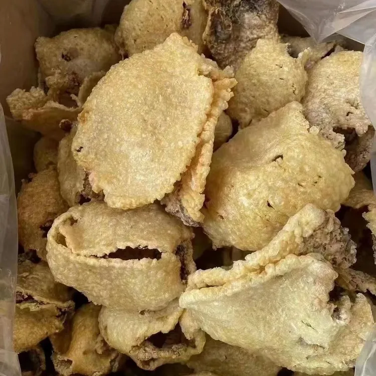 正宗盐爆刺龟皮炖汤刺豚皮鸡皮刺海刺猬龟皮煲汤养胃新鲜海产干货