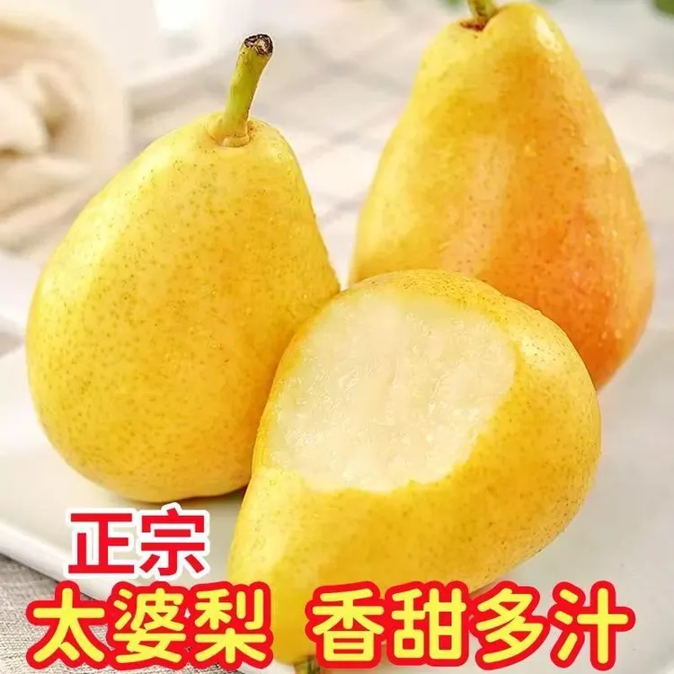 【软糯香甜】烟台太婆梨香蕉梨放软吃冰淇淋口感软梨当季新鲜水果