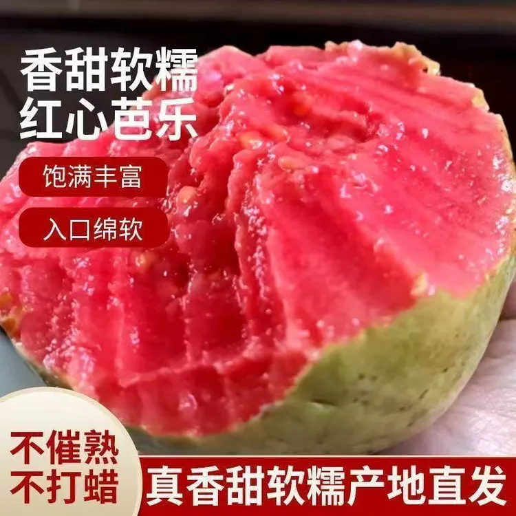 原产地红心白心奶油芭乐番石榴