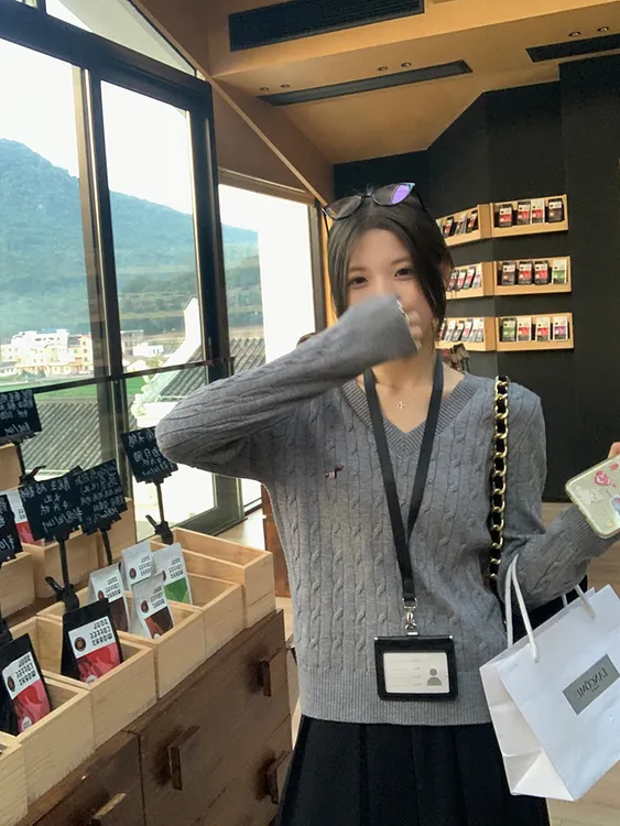 老钱风刺绣小狗V领长袖毛衣秋季美式复古绞花内搭外穿显瘦针织衫