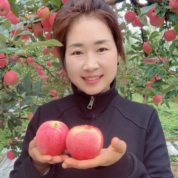 正宗甘肃庆阳“红嘎拉”苹果粉面香甜果香味浓多汁果肉细腻新鲜采摘