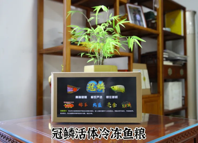 [子文自营]铭龙鱼粮（冰鲜检疫，顺丰到家）送喂食盆和镊子