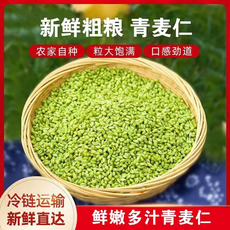 河南正宗青麦仁青麦粒青小麦青稞藜麦熬粥低脂800克