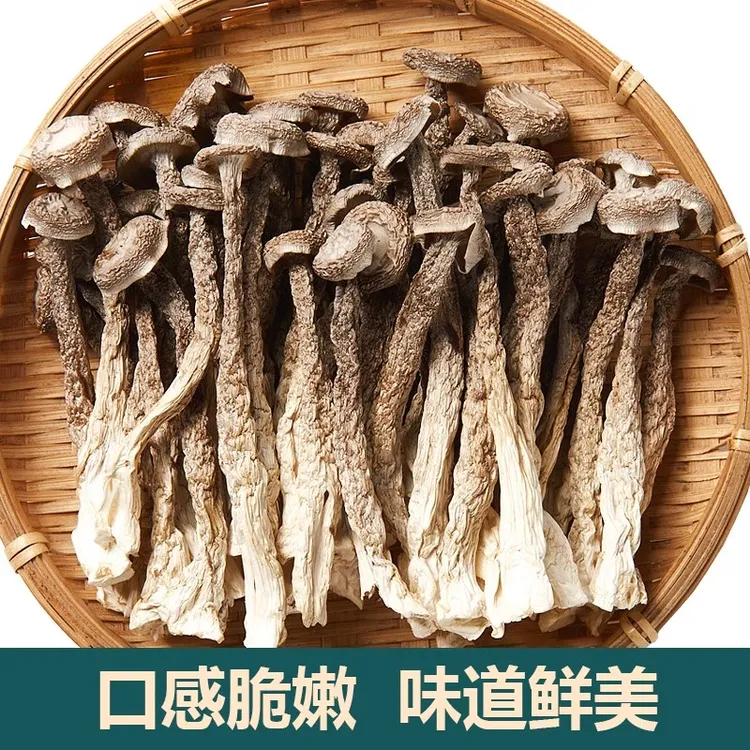 农家甄选鹿茸菇鲜香脆嫩可爆炒炖汤的云南食用菌生活