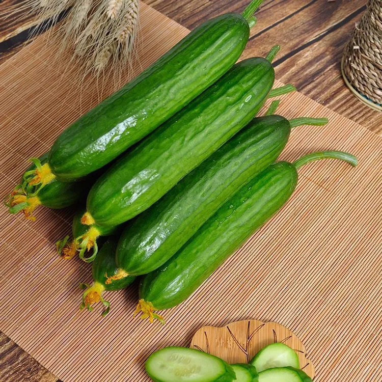 山东寿光新鲜水果小黄瓜现摘无刺生吃脆嫩清甜爽口