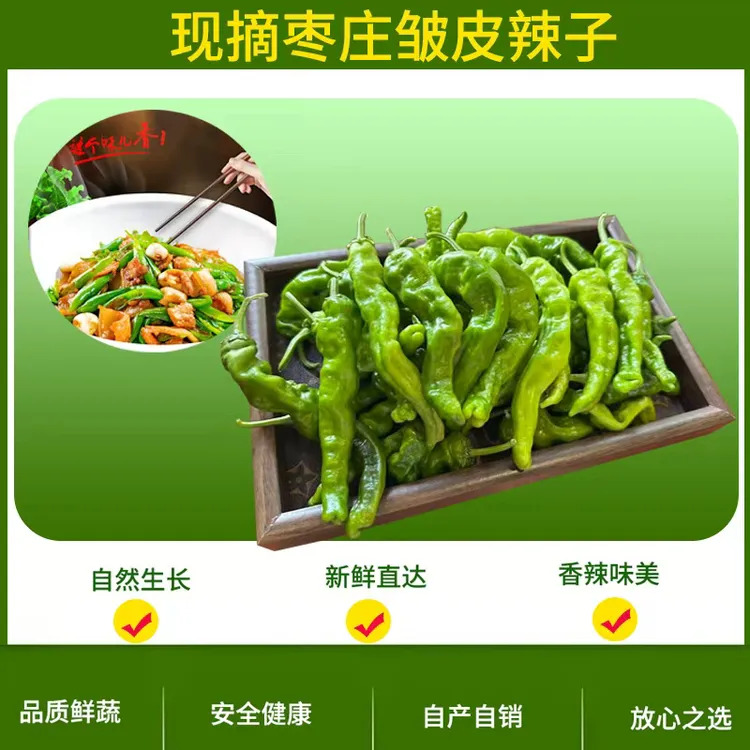 枣庄农家自种正宗现摘现发新鲜采摘螺丝椒泡椒专用辣椒新鲜