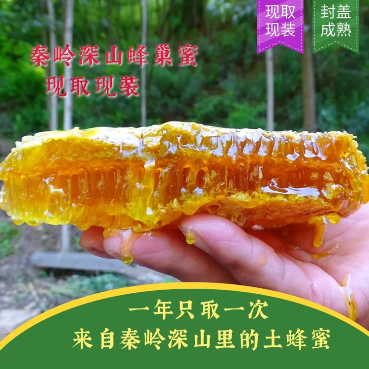 【木桶封盖现取现装土蜂巢蜜】嚼着吃一年取一次深山蜜源圆桶蜂巢蜜