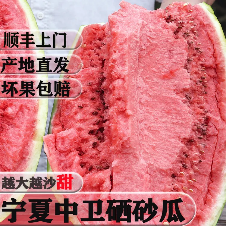 【正宗】宁夏中卫头茬硒砂瓜压砂瓜新鲜甘美4K西瓜瓜当季宁夏硒砂瓜