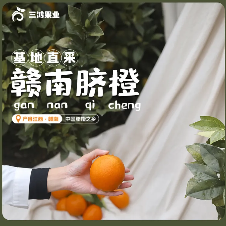 【顺丰包邮】江西赣南脐橙水果新鲜甜橙当季现摘净重4.5/9斤