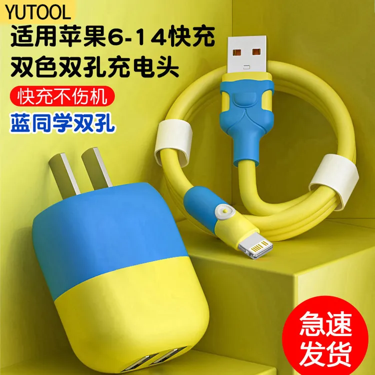 适用苹果USB快充iPhone14/13/12/11/xr通用手机快充充电头双孔