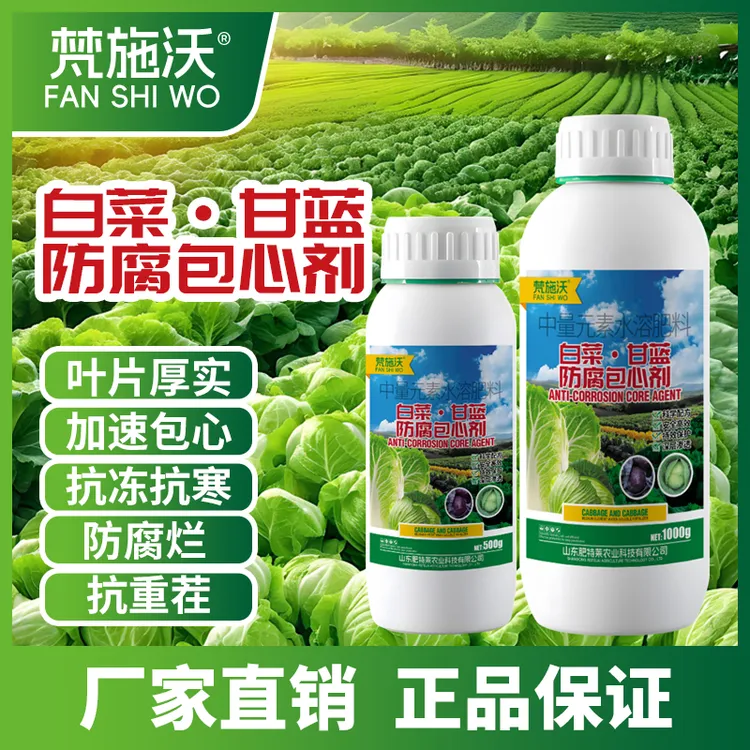 梵施沃白菜甘蓝防腐包心剂叶片厚实根系发达抗寒抗冻高产叶面肥