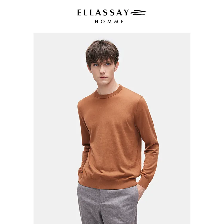 【100%羊毛】ELLASSAY歌力思25秋冬新款保暖休闲针织半高领羊毛衫男