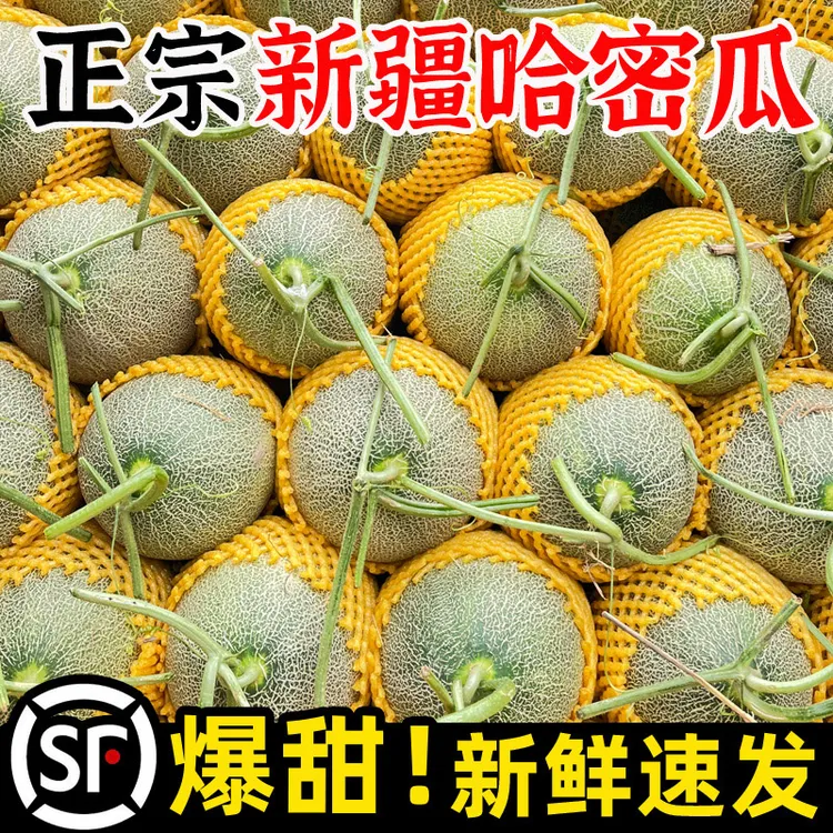 【顺丰空运】正宗吐鲁番新疆哈密瓜新鲜水果当季甜瓜西州蜜25香瓜