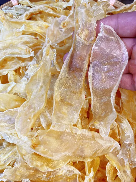 【鸿哥推荐】110头深海佐罗胶滋补炖汤炖奶佳品