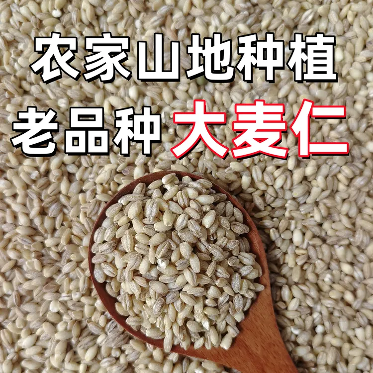 【25年新麦仁】精选大麦仁当季农家自种天然健康熬粥粗粮早餐营养粥