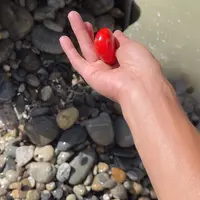 未镶嵌和田玉（糖玉）珠宝奇石