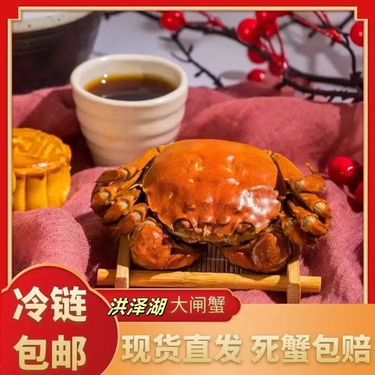 【活蟹】洪泽湖大闸蟹母蟹2.4-2.7两/只到手8-10只母蟹当天捕捞顺丰