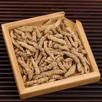 【9月14日】天蚕参百搭茶-产品以直播间为准