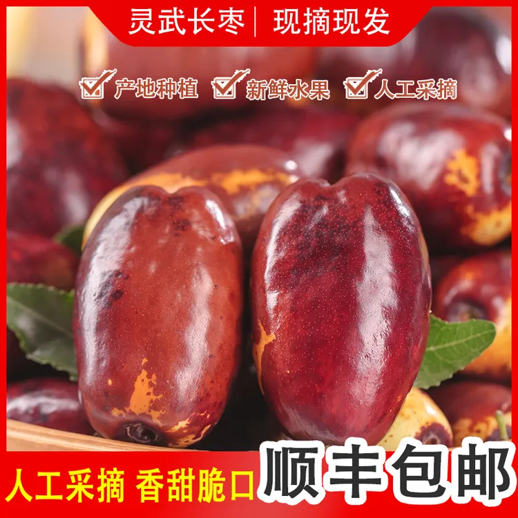 现摘现发宁夏灵武长枣脆甜多汁新鲜水果皮薄肉厚2/3斤【顺丰包邮】