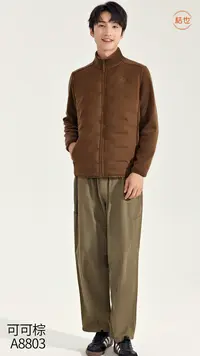 男士抗菌柔软舒适立领羽绒外套A8803