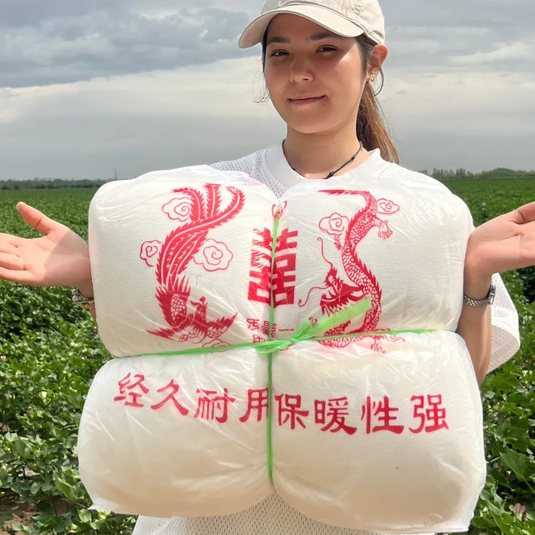 新疆优级棉絮网套新棉全国包邮单人双人多种规格新店开业优惠活动