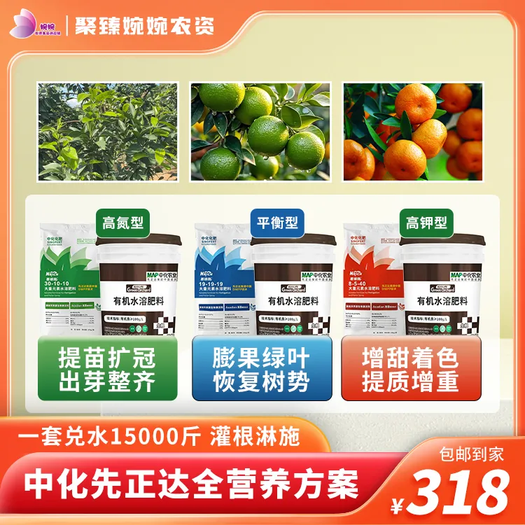 中化先正达营养方案快速膨果绿叶生根壮苗保花保果柑橘果树农用肥