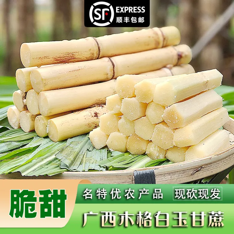 精选广西木格白玉甘蔗包邮农家自种水果甘蔗脆甜多汁产地新鲜直发