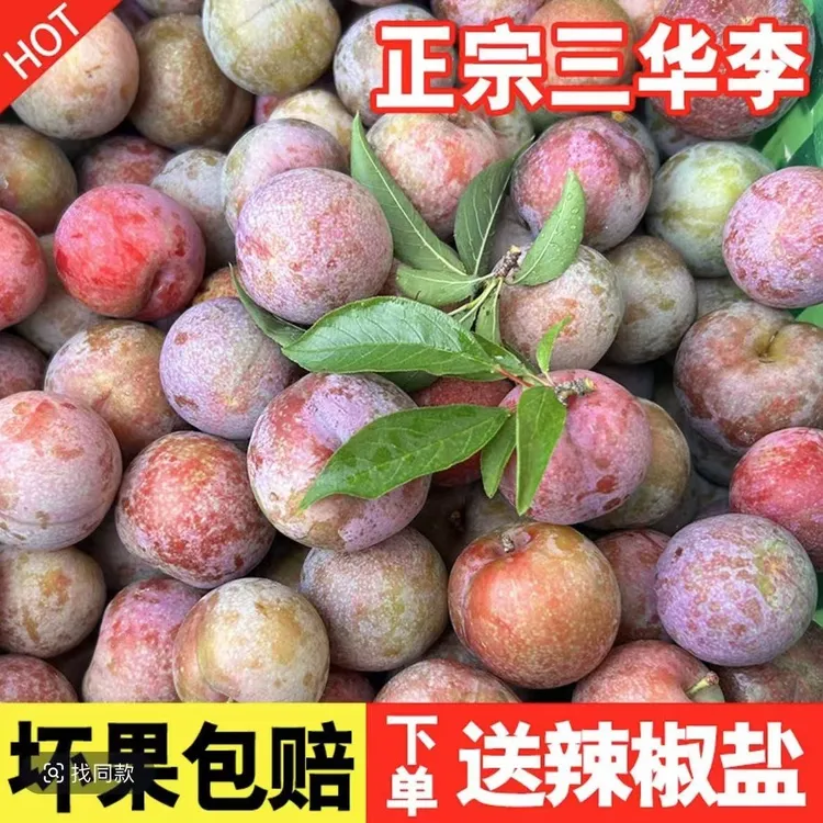 【直播间福利】新鲜现摘河池天河红心三华李酸脆爽口孕妇当季水果