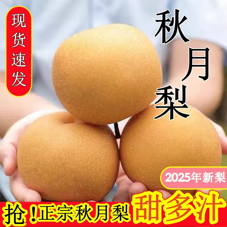 正宗秋月梨新鲜现摘现发脆甜多汁当季水果申通速递送货上门