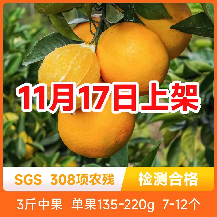 辰颐物语 赣南脐橙 新鲜现摘香甜多汁产地直发