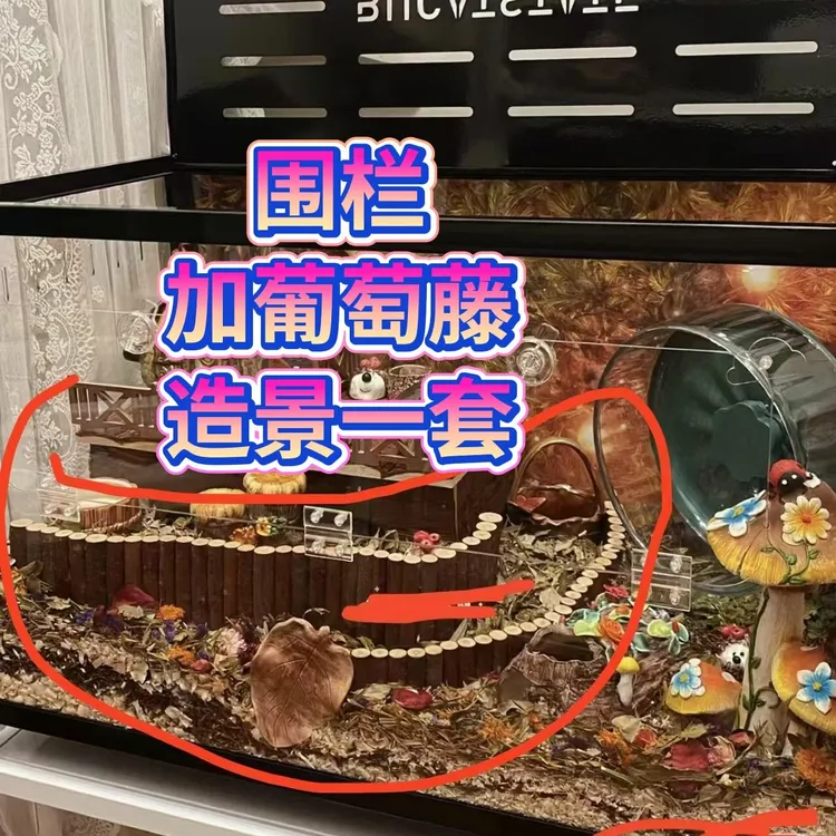 苹果木栅栏金丝熊造景仓鼠秋千玩具超长爬梯玩具天然木质拱桥围栏