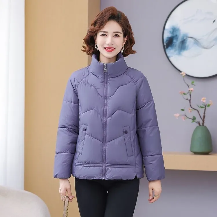 新款立领短款免洗棉服休闲百搭外套301