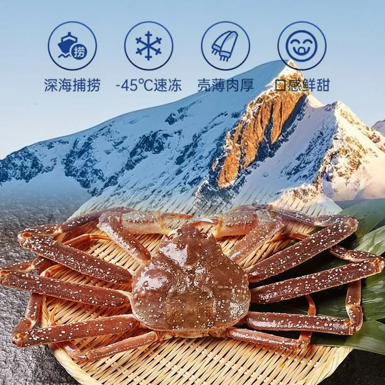 【包活】俄罗斯进口活松叶蟹海鲜活水产超大长腿螃蟹雪蟹进口板蟹