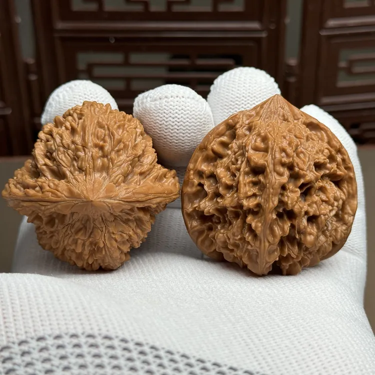 一代老树原桩满天星，边44肚42高42，原生态山地果，精选毕业级对子