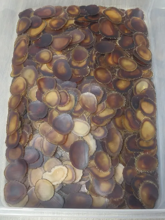 性价比高做福利款腊片