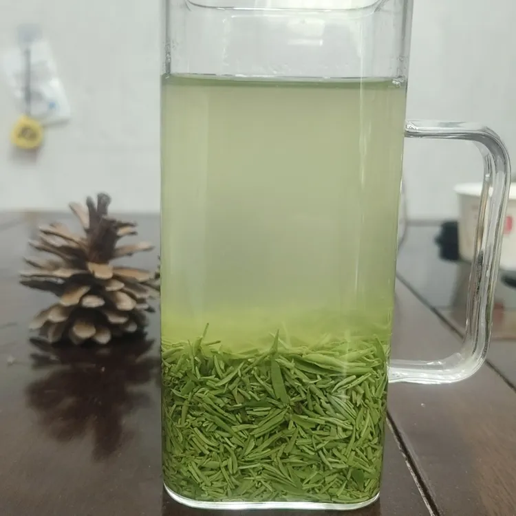 2025年信阳毛尖绿茶【A12】明前断芽风针500g