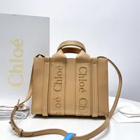 胖虎安安/蔻依/95新/公价0/箱包/两用包/312501140041