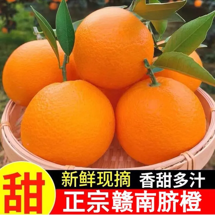 正宗江西赣南脐橙当季水果孕妇脐橙新鲜多汁大果纽荷尔脐橙果园发