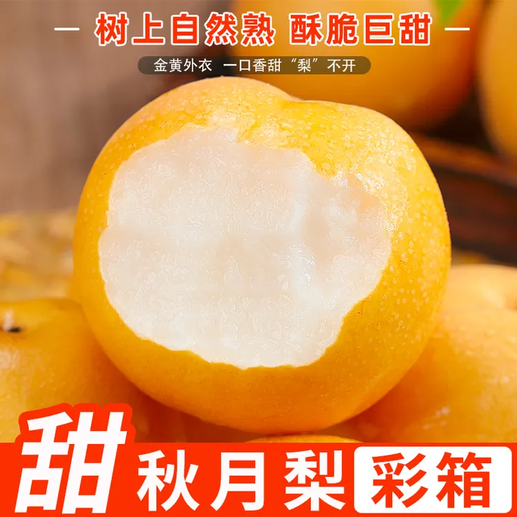 【巨好吃】正宗秋月梨新鲜水果梨子薄皮梨酥脆甜梨包邮坏果包赔商品图