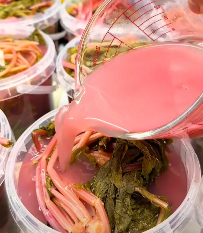 正宗陕西安康萝卜缨浆水酸菜陕南特色美味
