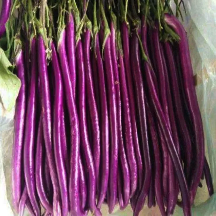 新鲜线茄，产地直发（3斤）