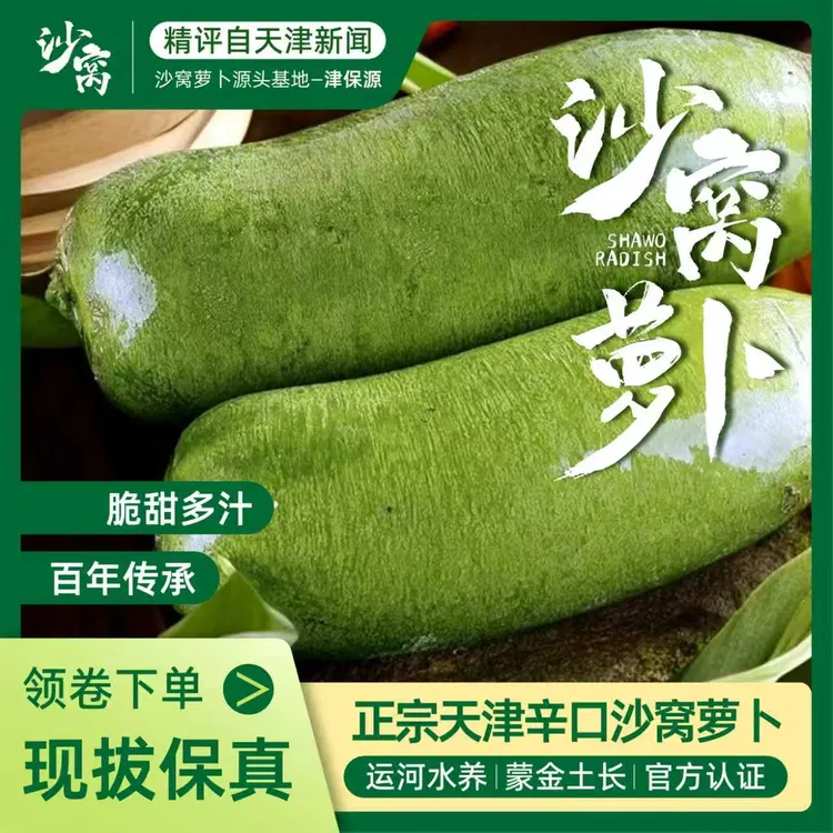 天津正宗沙窝水果萝卜地标认证天星二号源产地现拔现发非潍坊萝卜
