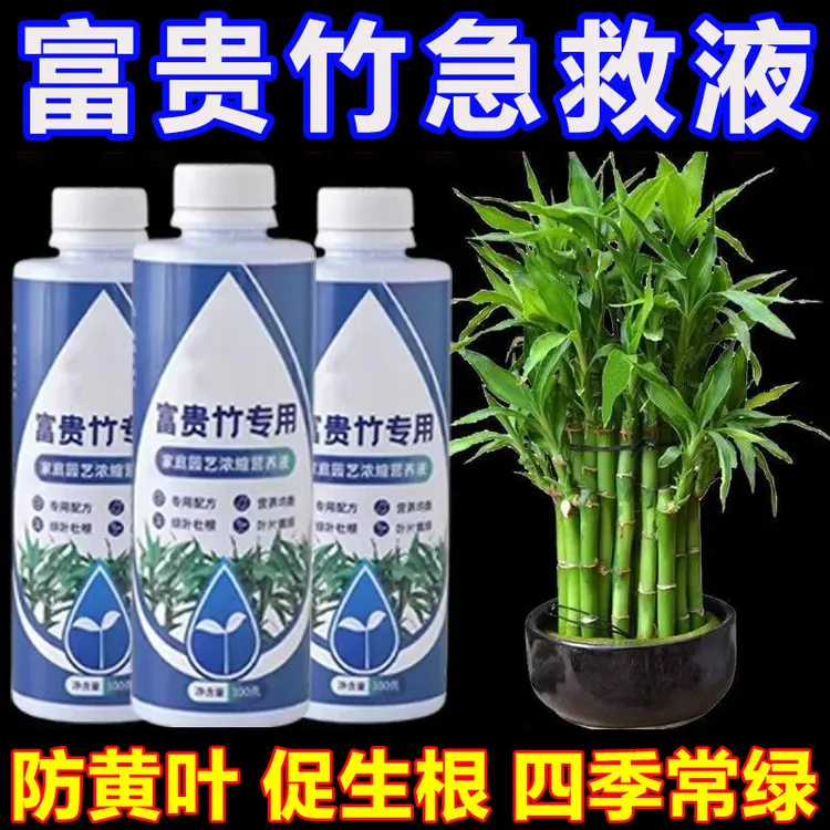 【抢完为止】富贵竹专用营养液叶子发黄促生根液植物水培专用肥料