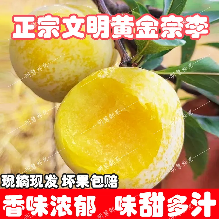 汝城文明黄金奈李